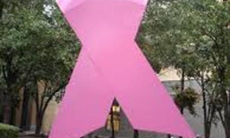 ROJECT PHAKAMISA: AN ACCESS INITIATIVE FOR BREAST CANCER IN THE PUBLIC SECTOR