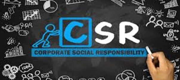Can Corporate Social Responsibility Sustain Development?
