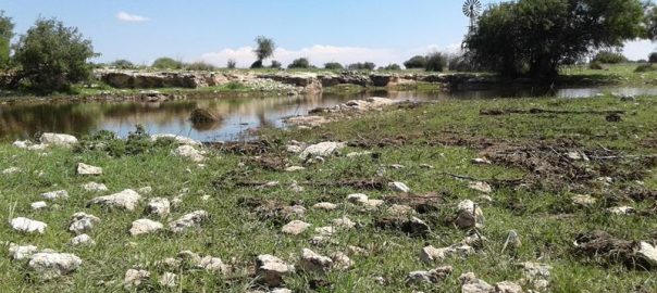 The Economic Impacts of Ecotourism