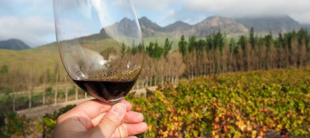 HOW TO SEE THE BEST OF SOUTH AFRICA IN 12 DAYS (part 2)